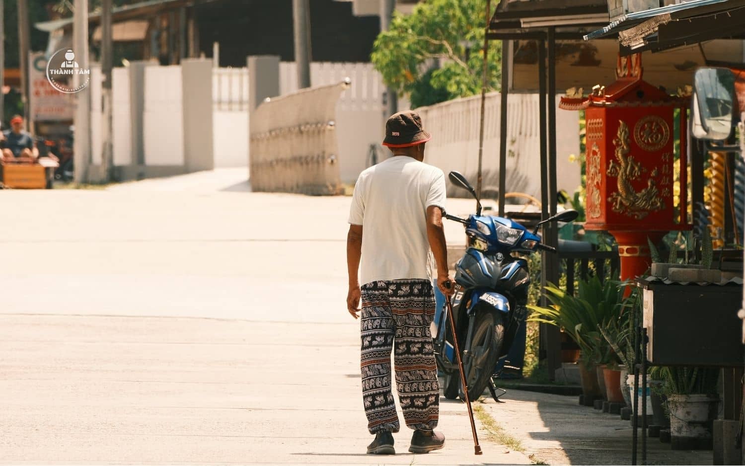 Người đảng trí thích đi lang thang, wandering